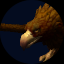 Territorial Eagle