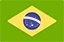 Português do Brasil